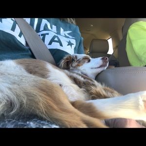 Meet your Posher, Shannon